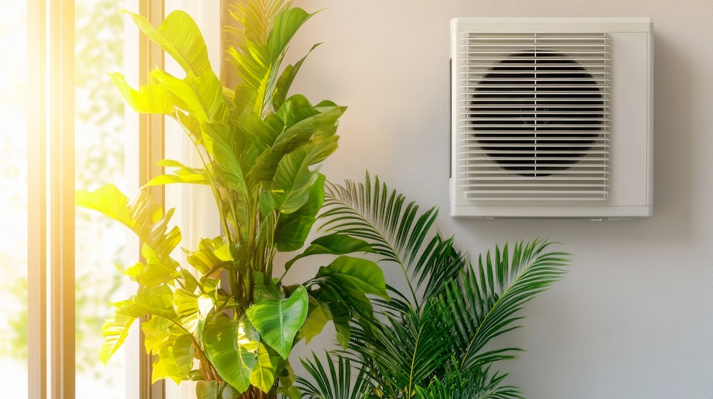 Plants in the sun beside a HVAC system
